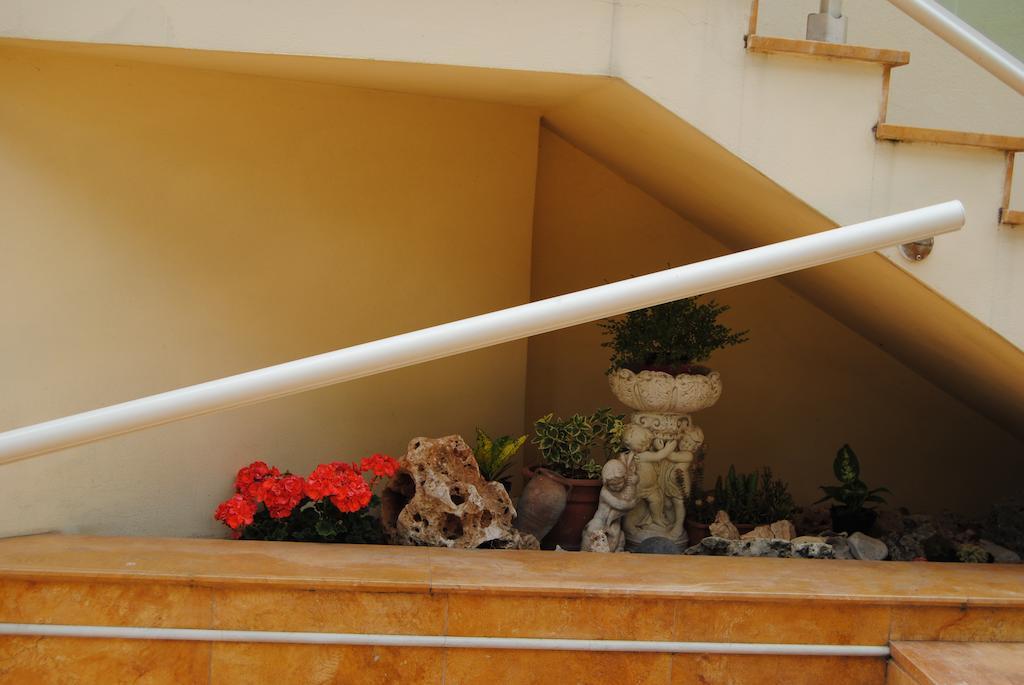 Hotel Bamar Pinarella Extérieur photo